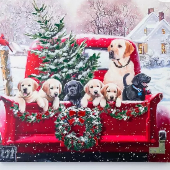 Follow Me, Like, Follow and Share. - Picture 3 of 12